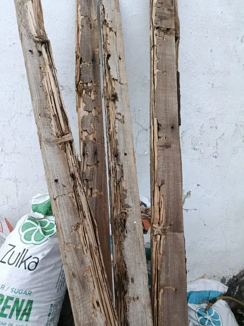 Tres vigas retiradas de una misma estructura
